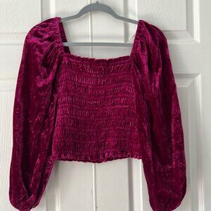Anthropologie velvet ruched blouse